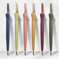 Elegant Automatic Walking Umbrella - 24 Ribs