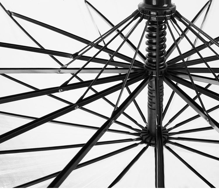 Clear 16 Rib Auto Walking Umbrella