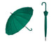 Aqua Green