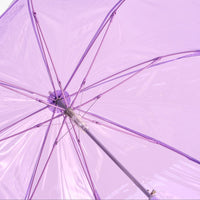 Clear Coloured Automatic Walking Umbrella