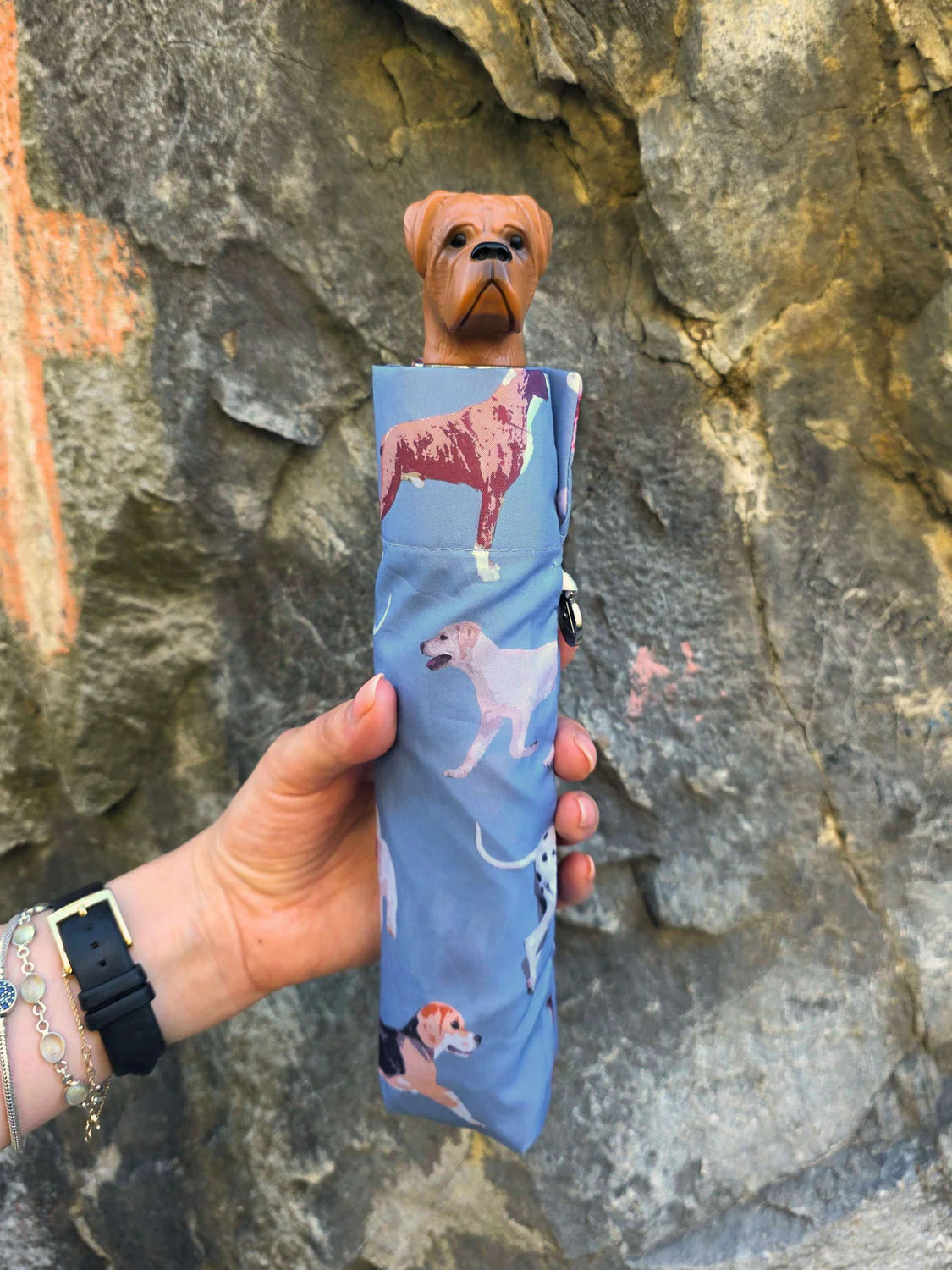 Fulton Curio Dog Handle Folding Umbrella | UPF 50+ UV Protection | Compact and Fun