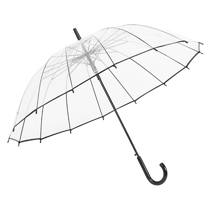 Clear 16 Rib Auto Walking Umbrella