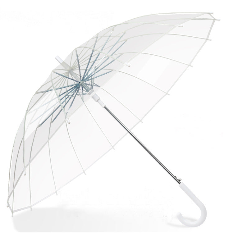 Clear 16 Rib Auto Walking Umbrella