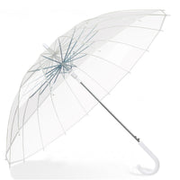 Clear 16 Rib Auto Walking Umbrella