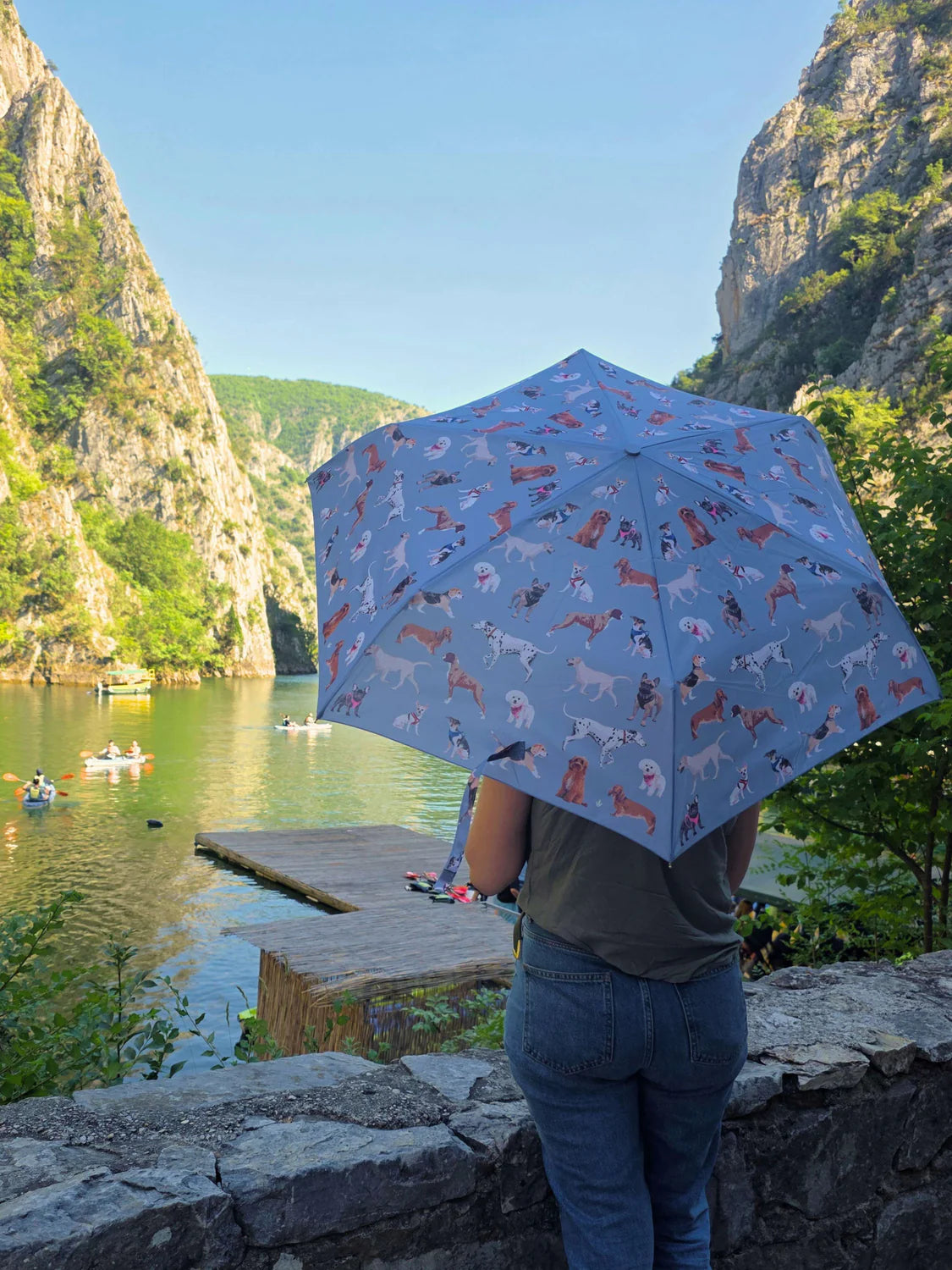 Fulton Curio Dog Handle Folding Umbrella | UPF 50+ UV Protection | Compact and Fun