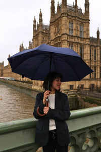 Fulton Chiswick Walking Umbrella - Navy | Wood Hook Handle | Auto Open | Recycled Fabric