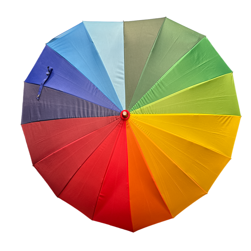 Heart Shape "The Heart" Rainbow Walking Umbrella