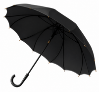 One Piece Canopy Auto Walking Umbrella | Fashion Colours | Fibreglass Frame | 105cm Canopy