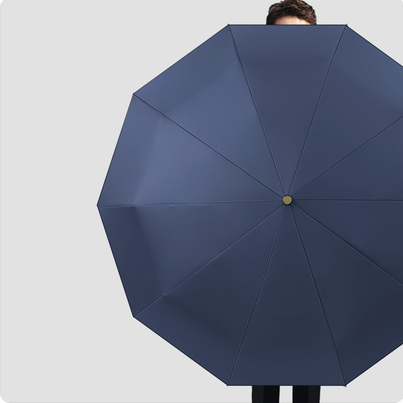UPF 50+ Auto AOC Folding Umbrella | 10 Rib Frame | Easy Open | Wood Hook Handle