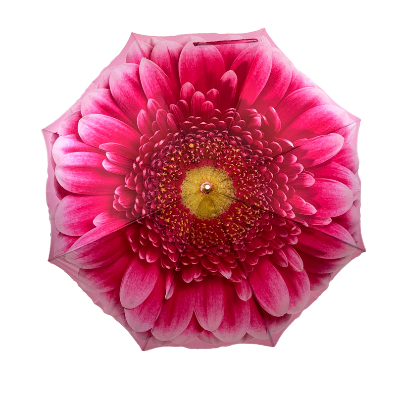 StormKing Auto Folding Nature Umbrella - Gerbera Daisy Pink