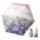 Lilac Flower