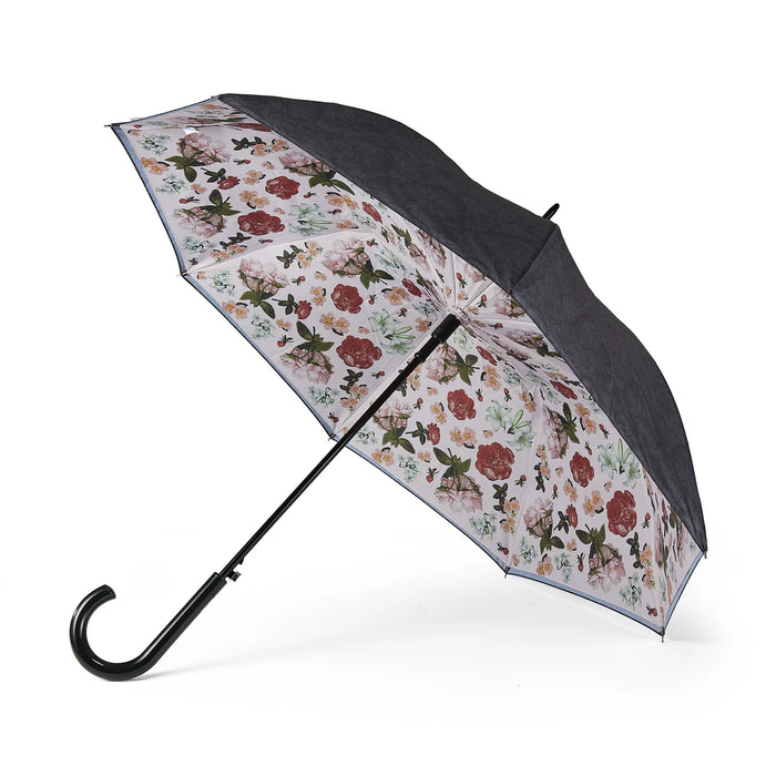 National Gallery Auto Walking Umbrella - Bosschaert the Elder Blushed Blooms