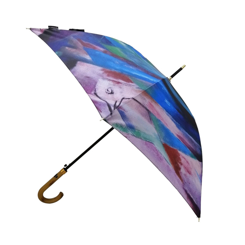 StormKing Auto Walking Artist Umbrella - Franz Marc Birds