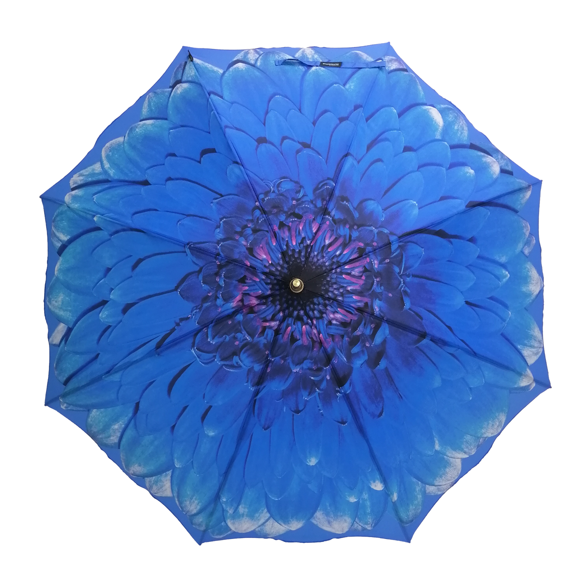 StormKing Auto Walking Nature Umbrella - Blue Daisy