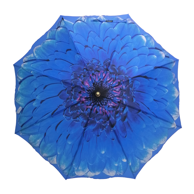 StormKing Auto Walking Nature Umbrella - Blue Daisy