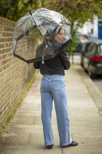 Fulton Birdcage Clear Dome Umbrella - Cats - Umbrellaworld