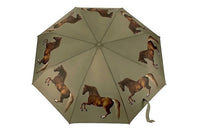 National Gallery x Fulton Minilite Umbrella - Stubbs Whistlejacket | Compact Art Print | Wind Resistant