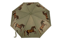 National Gallery Minilite Folding Umbrella - Stubbs Whistlejacket - Umbrellaworld