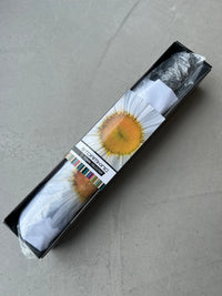 Storm King Auto Folding Floral Umbrella - White Daisy - Umbrellaworld