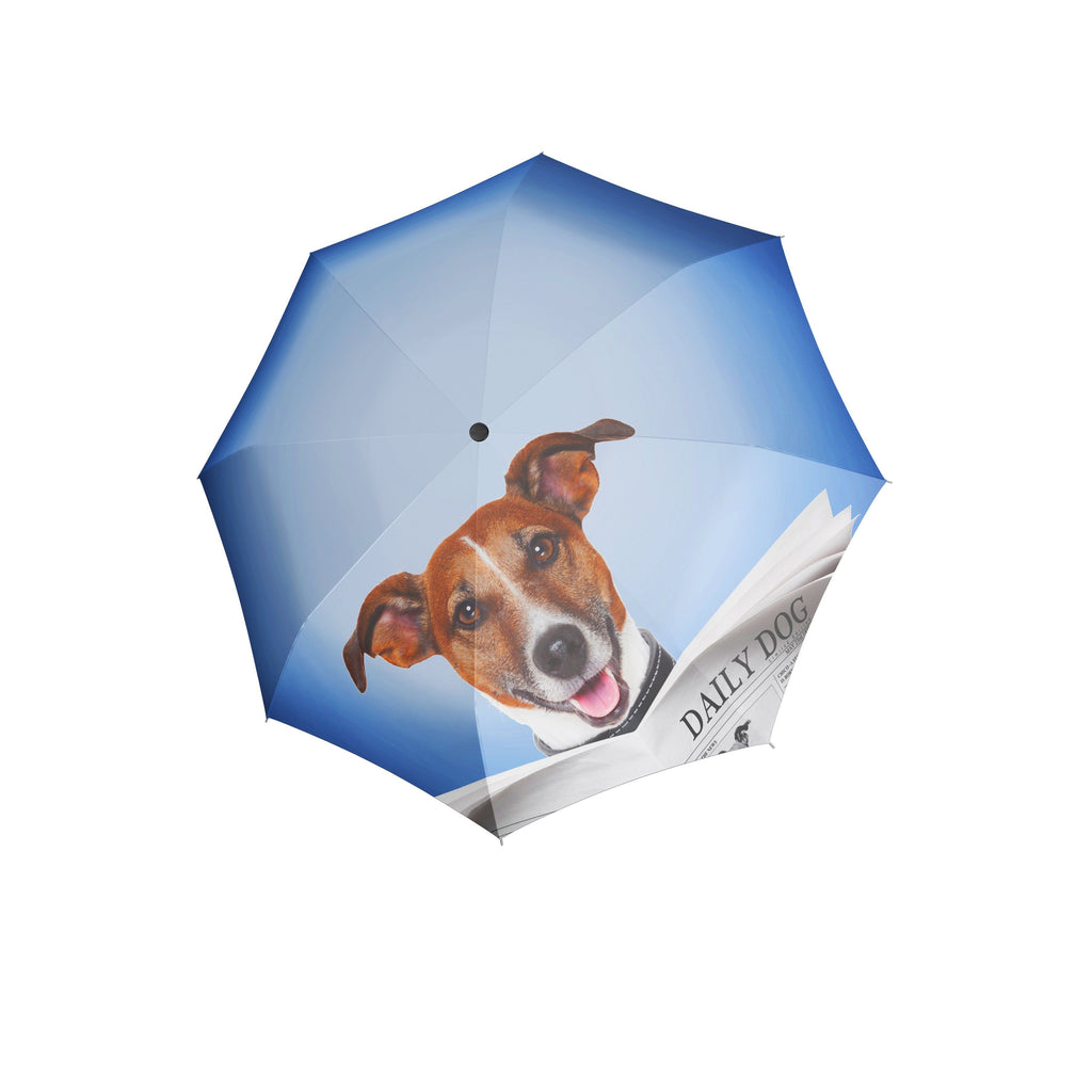 Doppler Modern Art Collection Open & Close Folding Umbrella - Daily Dog - Umbrellaworld