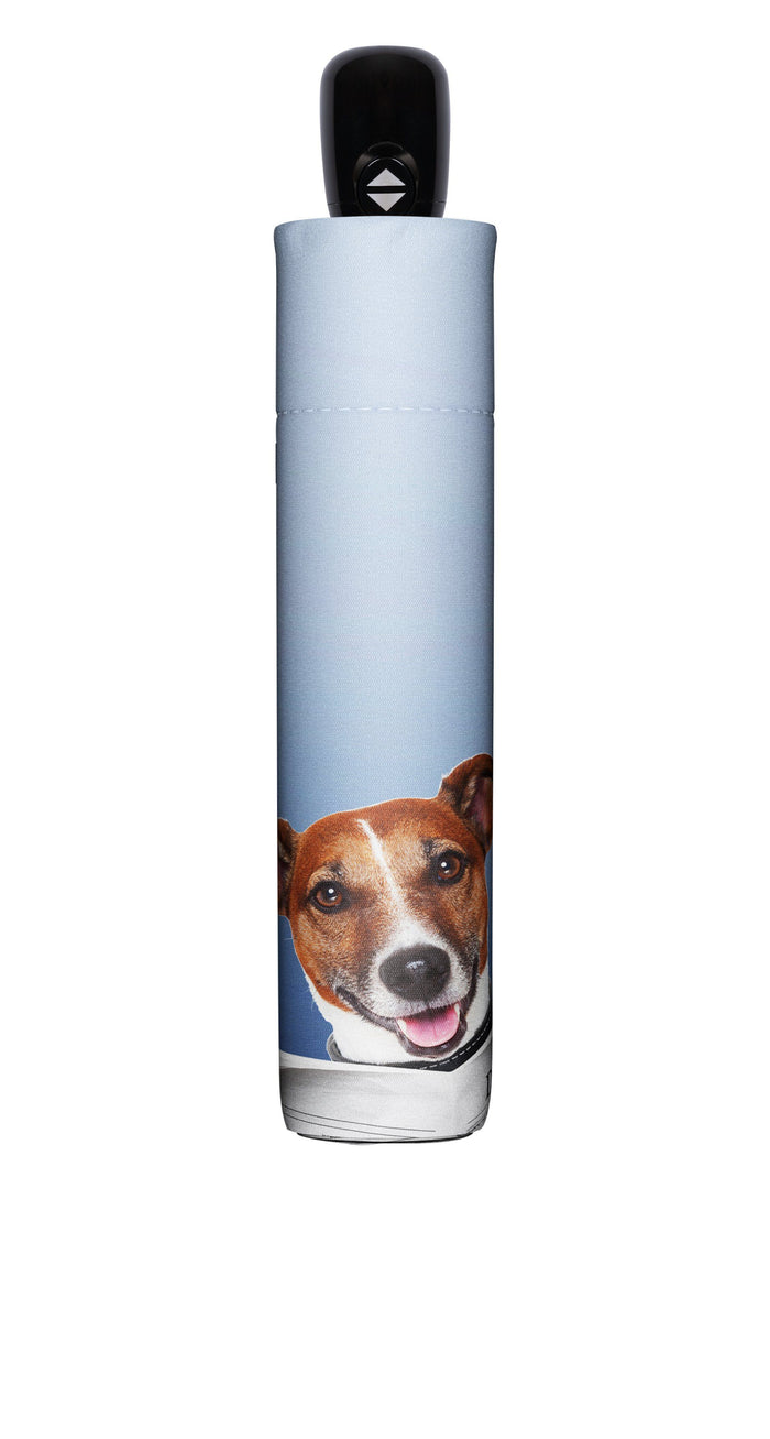 Doppler Modern Art Collection Open & Close Folding Umbrella - Daily Dog - Umbrellaworld