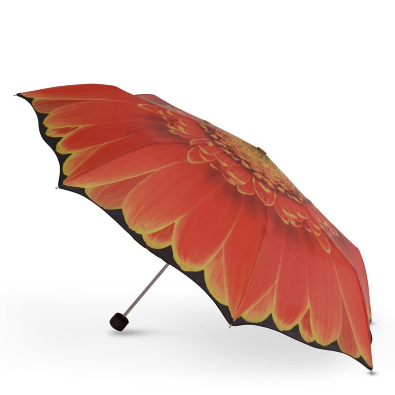 Cascada Collection Orange Gerbera Floral Folding Umbrella - Umbrellaworld