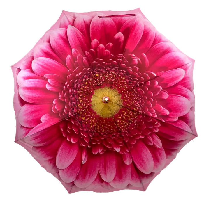 Storm King Auto Walking Floral Umbrella - Pink Gerbera - Umbrellaworld