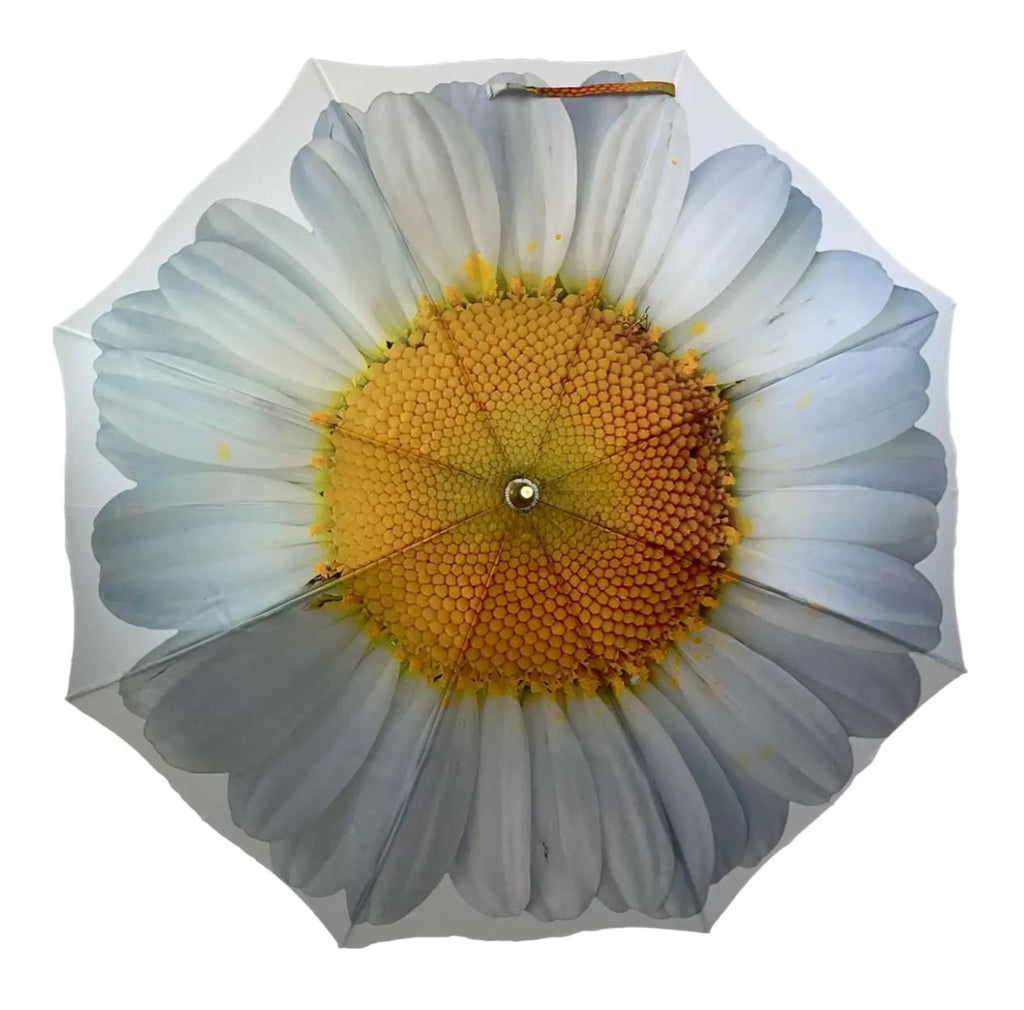 Storm King Auto Folding Floral Umbrella - White Daisy - Umbrellaworld